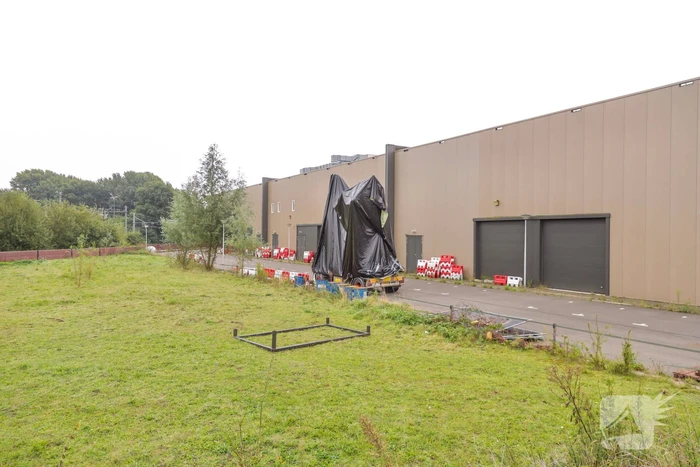 Mysterie verdwenen stier opgelost