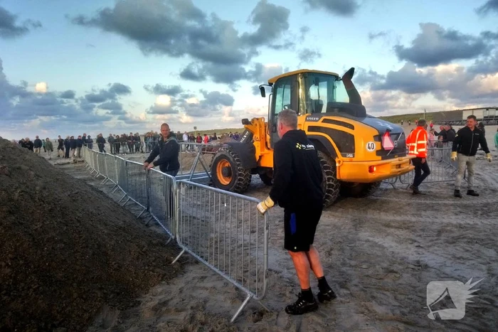 Dode vinvis aangespoeld op strand