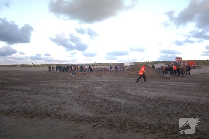 Dode vinvis aangespoeld op strand