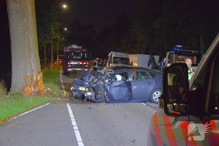 Automobilist komt om bij botsing tegen boom