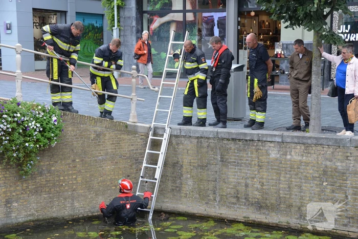 Kat uit afvoer naar gracht gered