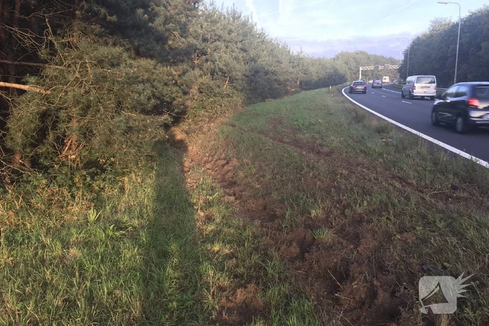 Auto vliegt van de weg belandt in bosschage