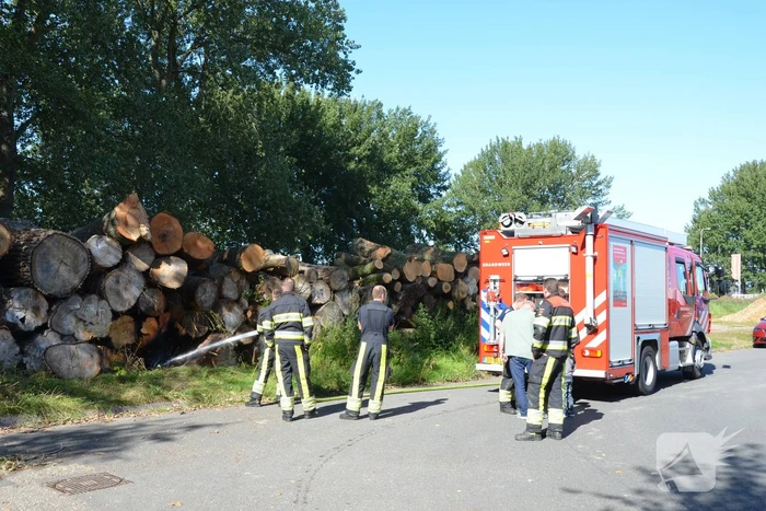 Berg met boomstammen in brand
