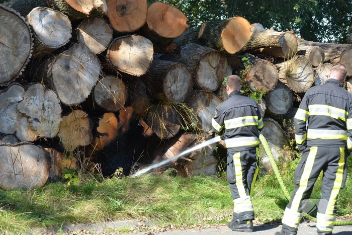 Berg met boomstammen in brand