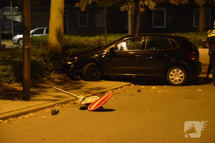 Flinke schade na aanrijding met boom