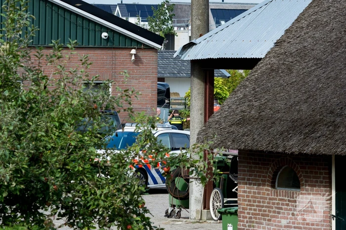 Vrouw ernstig gewond na val van paard