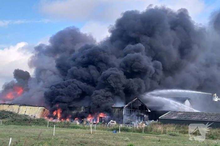 Uitslaande brand in loods aan de Rijsoord