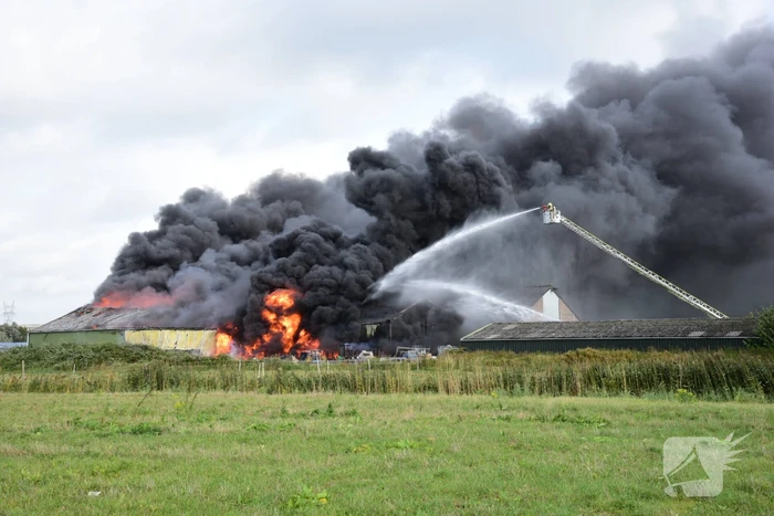 Uitslaande brand in loods aan de Rijsoord