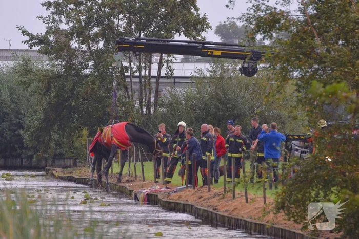 nieuws geestweg roelofarendsveen