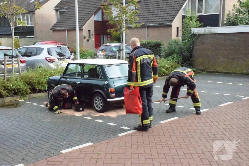 Wilgenhorst Waddinxveen 112 