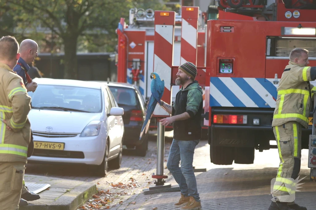 Germanenlaan Nieuws Apeldoorn 