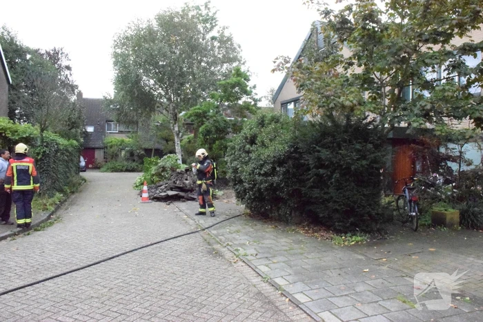 Minigraafmachine trek met boom gasleiding stuk