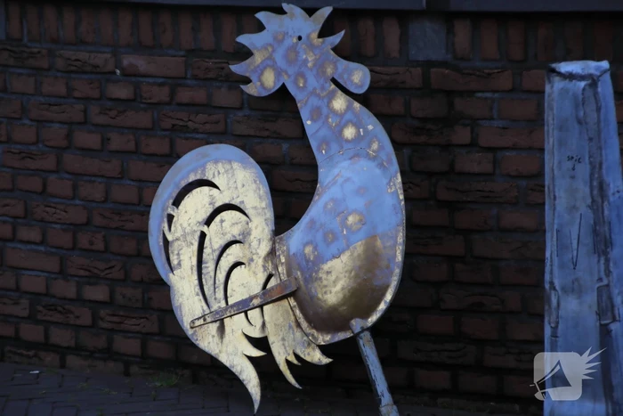 Barneveldse haan van Oude Kerktoren gehaald