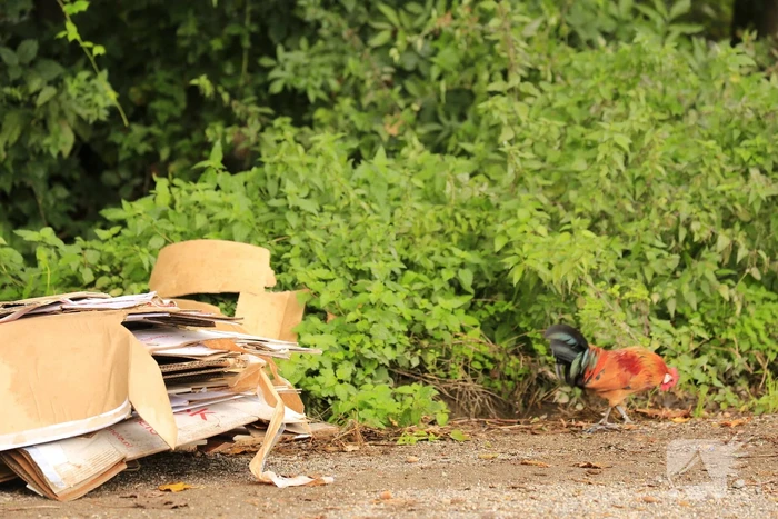 Trekkerbanden en sloopafval gedumpt op carpoolplaats