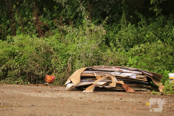 Trekkerbanden en sloopafval gedumpt op carpoolplaats