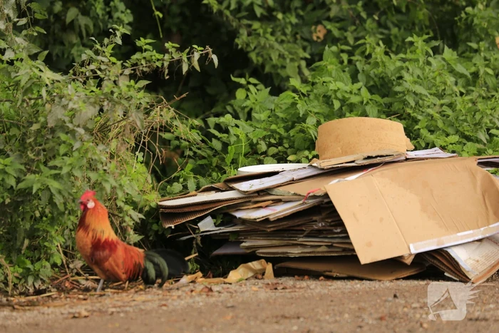 Trekkerbanden en sloopafval gedumpt op carpoolplaats