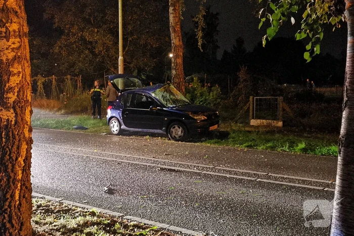 Gewonden na eenzijdig ongeval tegen boom