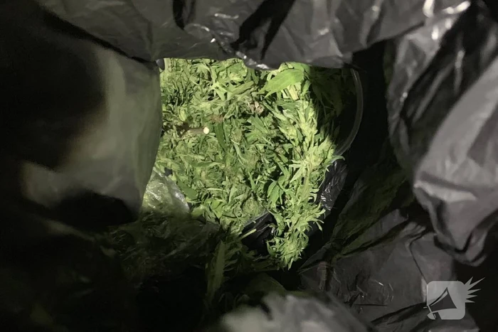 Scooterrijder met hennep, coke en veel cash aangehouden