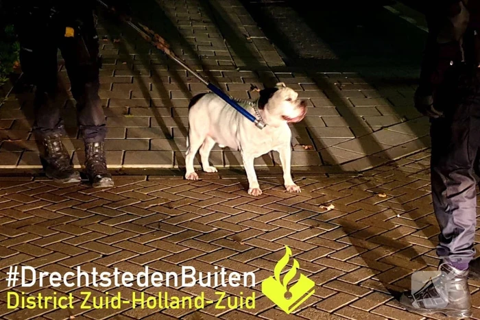 nieuws fazantplein sliedrecht