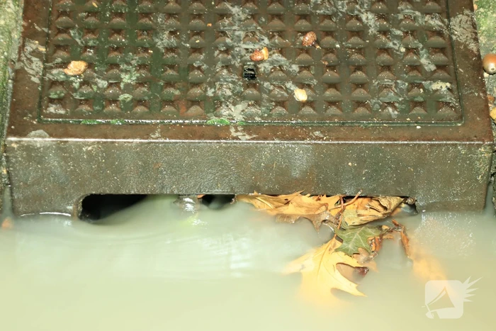 Straat blank door gesprongen waterleiding