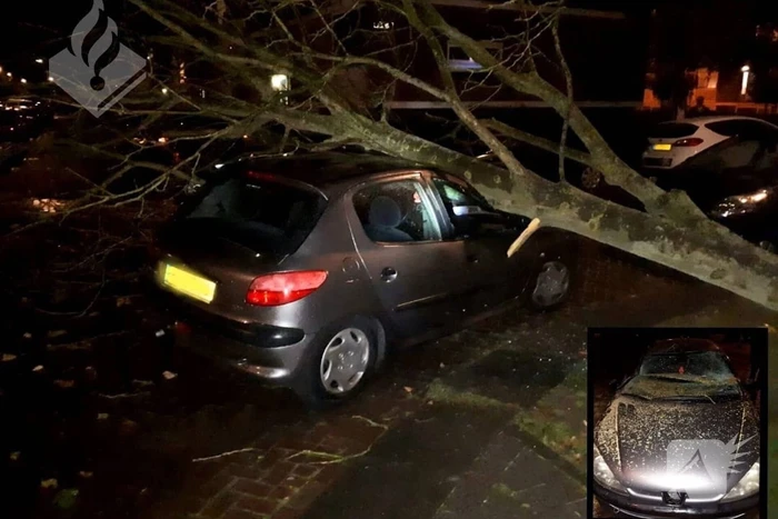Boom belandt op geparkeerde auto