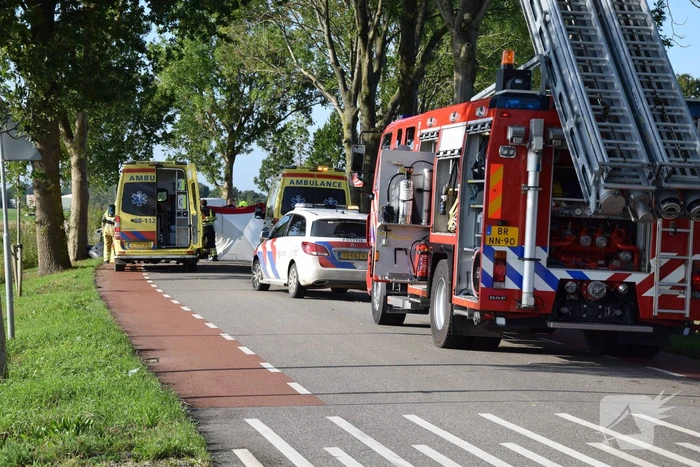 Bestuurder bestelbus overleden bij ongeval tegen boom