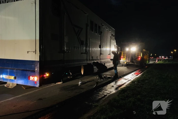 Vrachtwagen met 12 paarden dreigde om te vallen na klapband