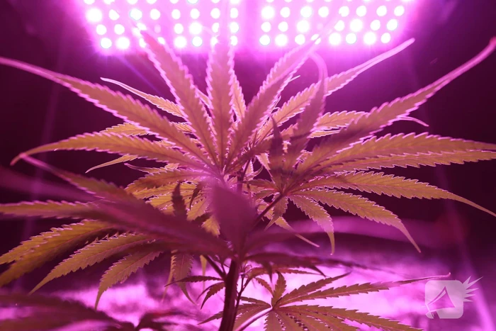 Drugswoning De Koppel drie maanden gesloten