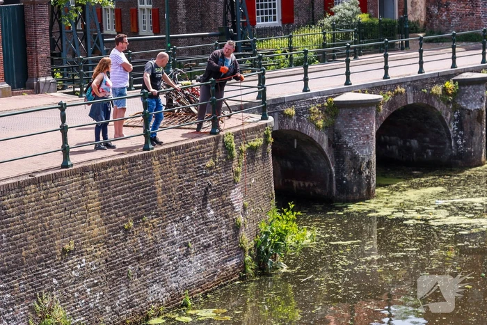 nieuws aelbrechtskade rotterdam