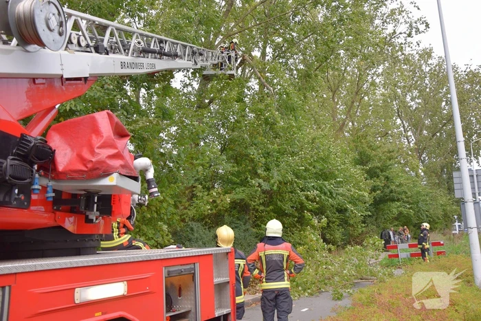 Grote loshangende tak zorgt voor gevaarlijke situatie