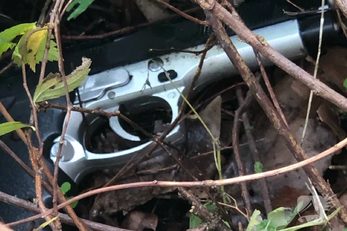 Oplettende voorbijganger treft wapen aan in struiken