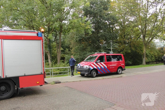 Zoektocht na gevonden kleding op bankje