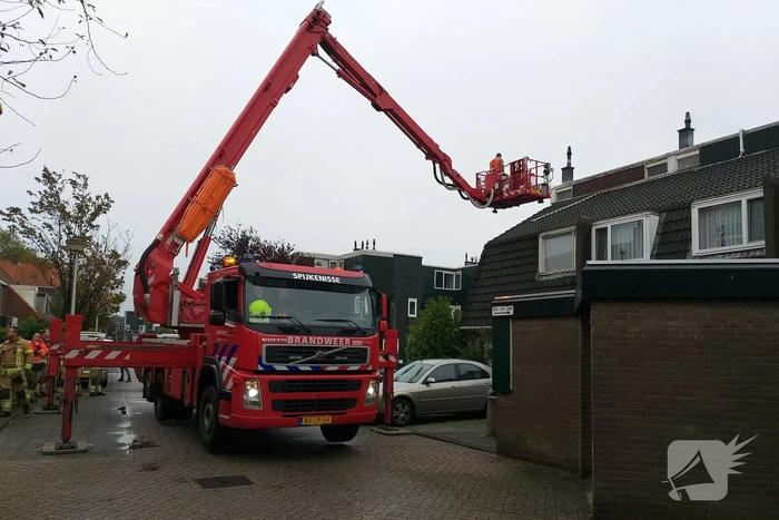 nieuws slakkenveen spijkenisse