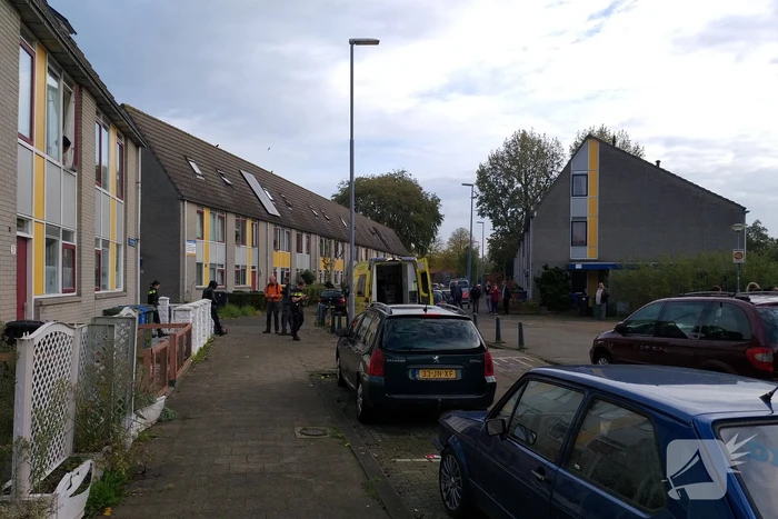 steekincident abadanstraat hoogvliet rotterdam