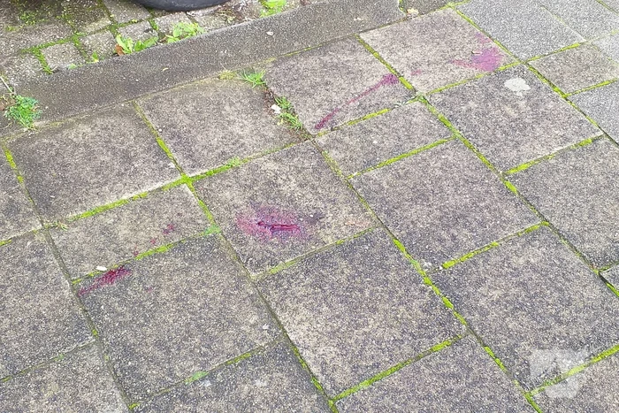 Man zwaargewond bij steekpartij na woningoverval in Hoogvliet