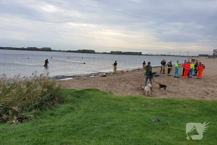 Grote zoekactie in Zevenhuizerplas naar vermiste snorkelaar