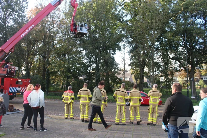 Brandweer redt papegaai met hoogwerker