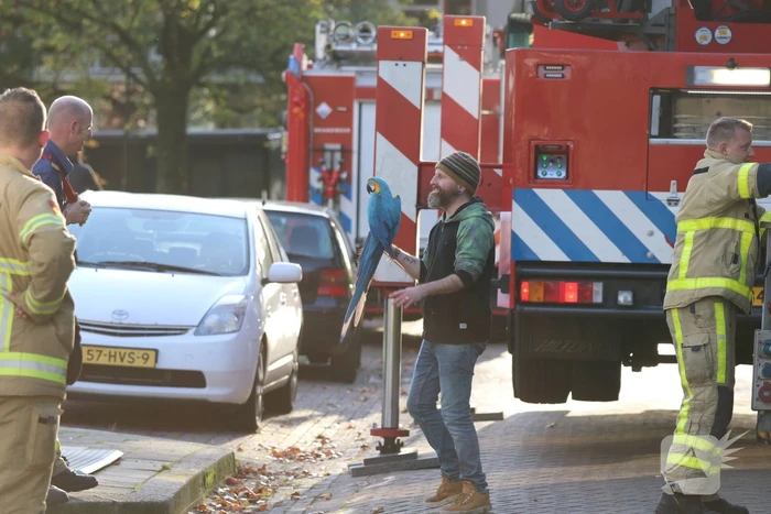 nieuws germanenlaan apeldoorn