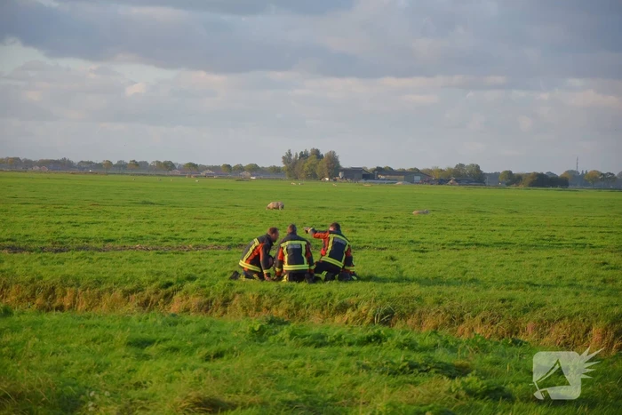 Hulpdiensten redden persoon uit water