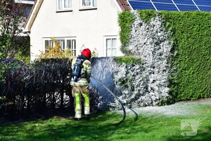 Heg vliegt in brand door onkruidbrander in de Landerijen