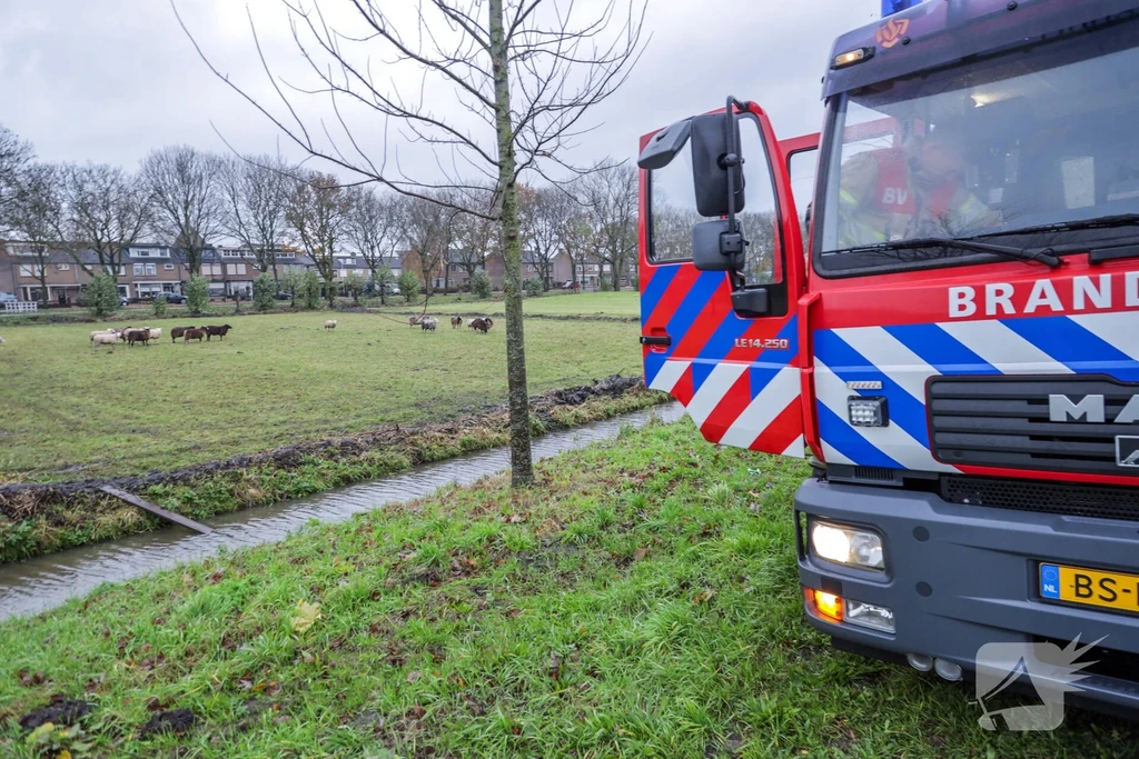 Oostelijke Randweg Nieuws Bunschoten-Spakenburg 