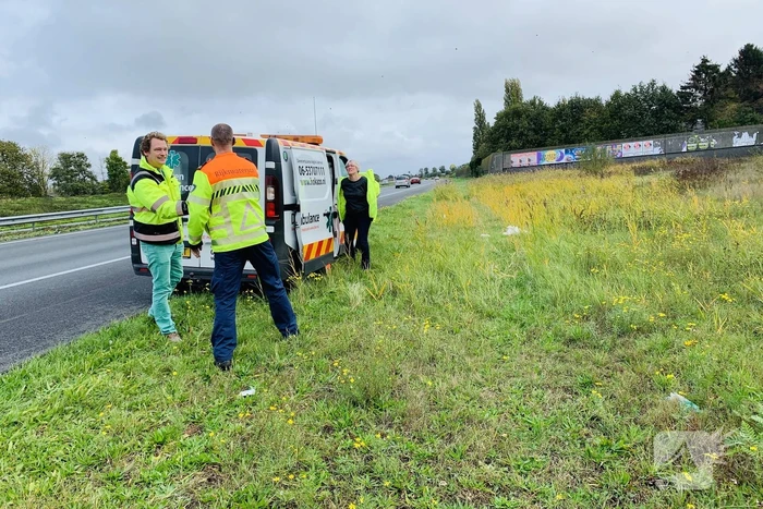 Zwaan dood na aanrijding op snelweg