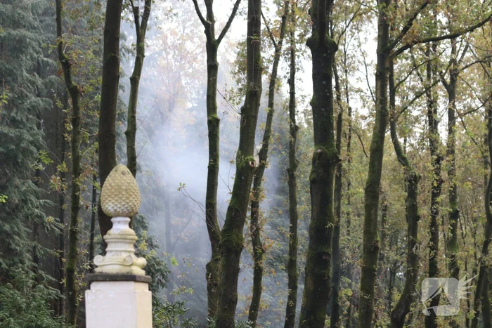 Veel rook bij flinke brand in houtbedrijf