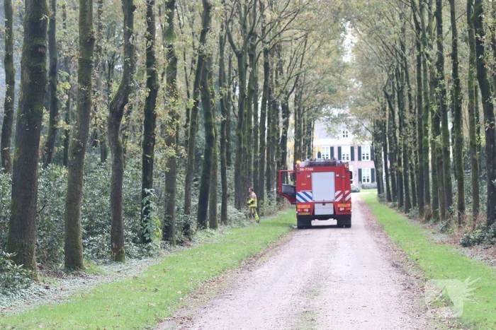 Veel rook bij flinke brand in houtbedrijf