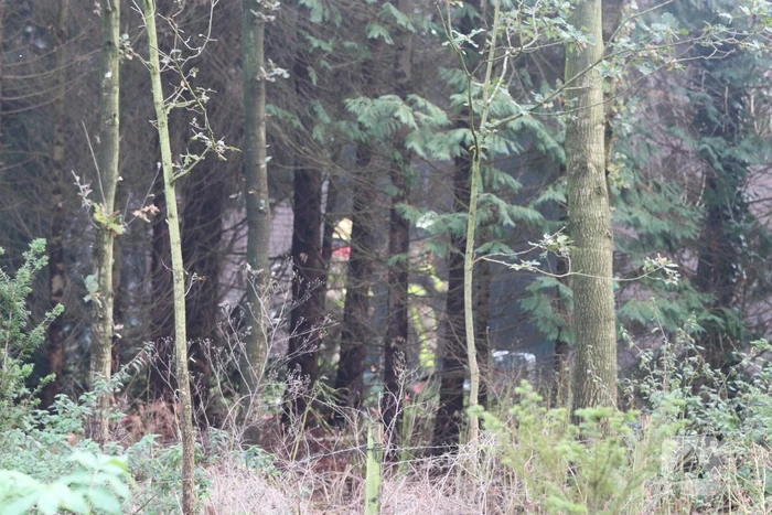 Veel rook bij flinke brand in houtbedrijf