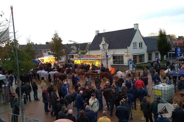 300e paardenmarkt