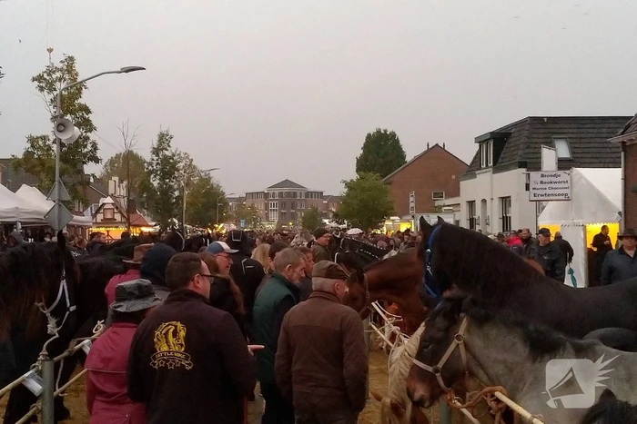 300e paardenmarkt