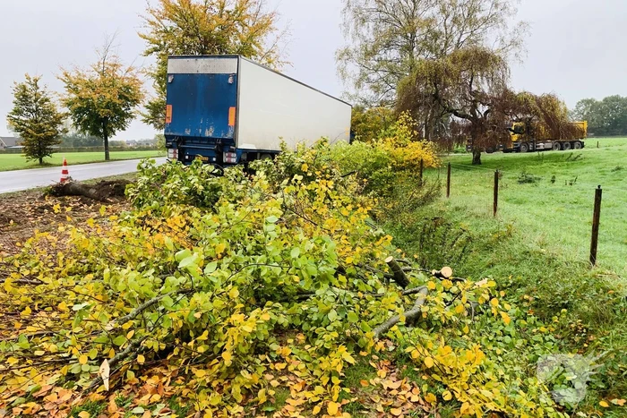 Vrachtwagen raakt van de weg