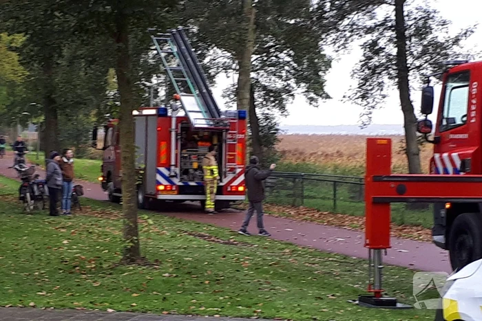 Brandweer doet nog een poging om kat uit boom te halen