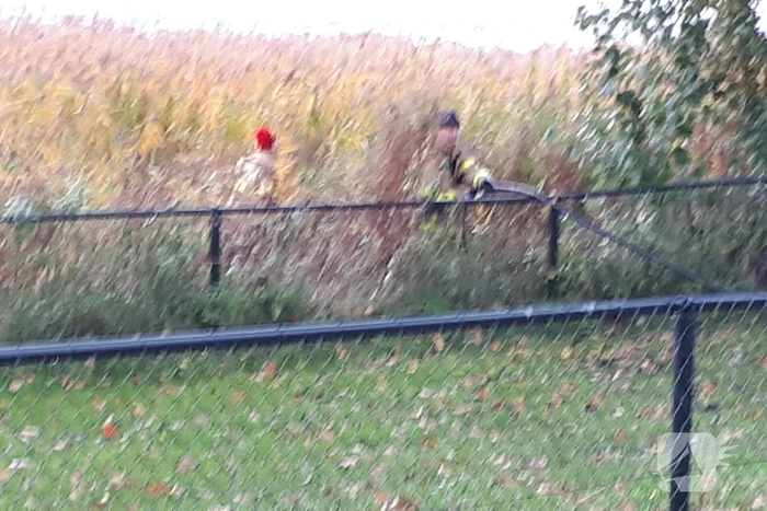 Brandweer doet nog een poging om kat uit boom te halen